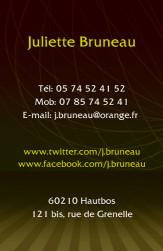 Cartes de visite personnelle 1098 - 98