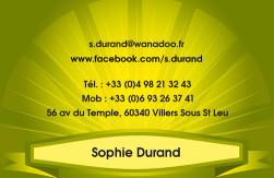 Cartes de visite personnelle 1100 - 98