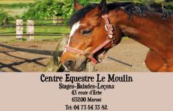 Cartes de visite sport 456 - 98