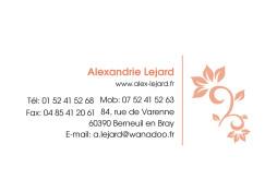 cartes visite web